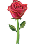 Fresh Picks Satin Rose (Helium-Filled)- 65 Inches