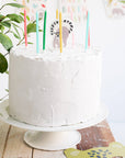 Candle Zoo Party- 11 Pc