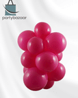 Wildberry Latex Balloon (Helium/Air Filled) - 11 Inches