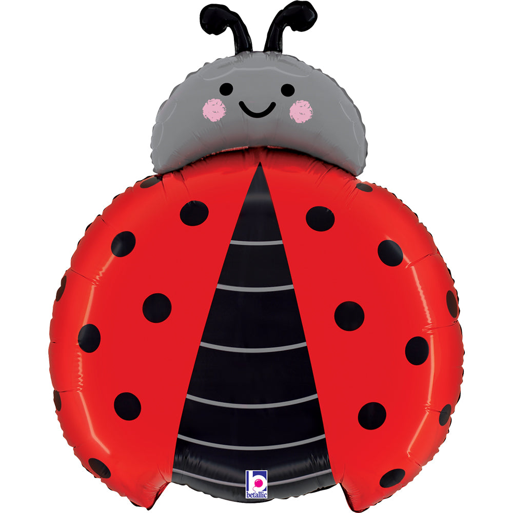 Lady Bug Single Pack