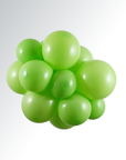 Lime Green Latex Balloon (Helium/Air Filled) - 11 Inches