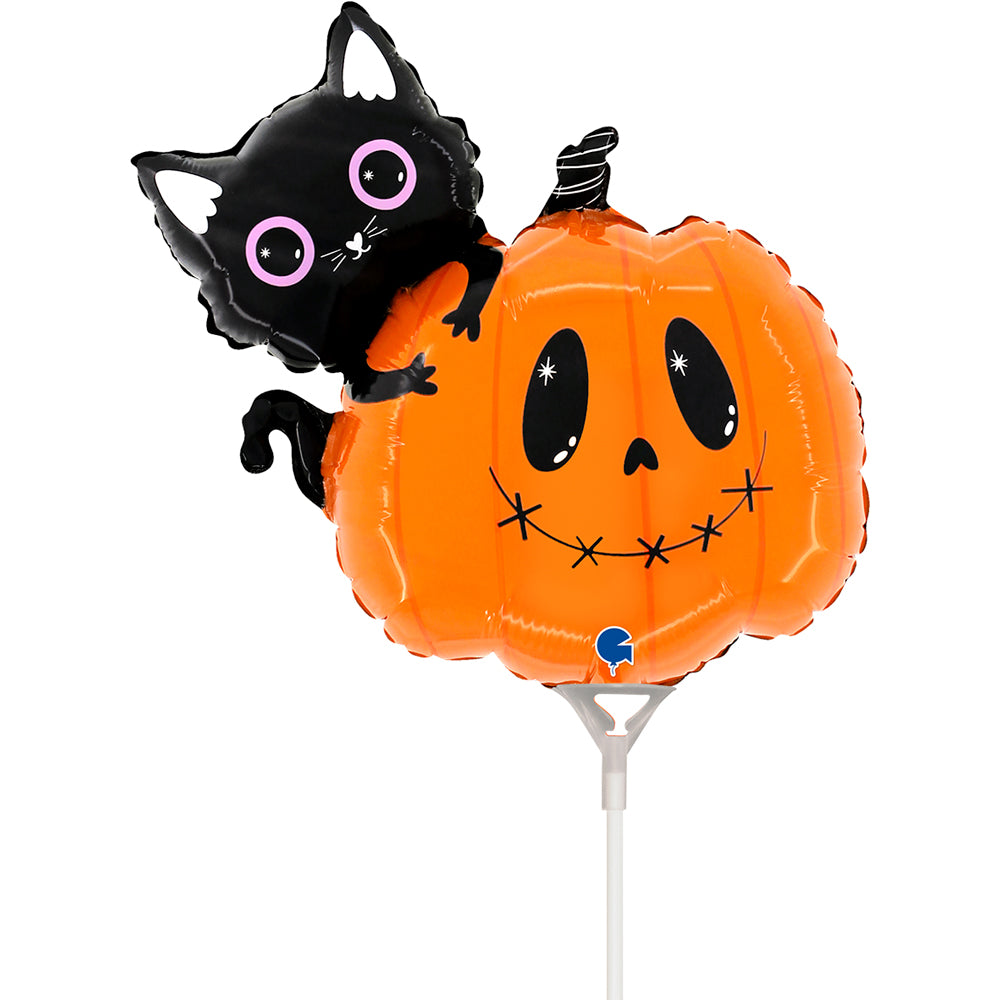 Cat &amp; The Pumpkin mini